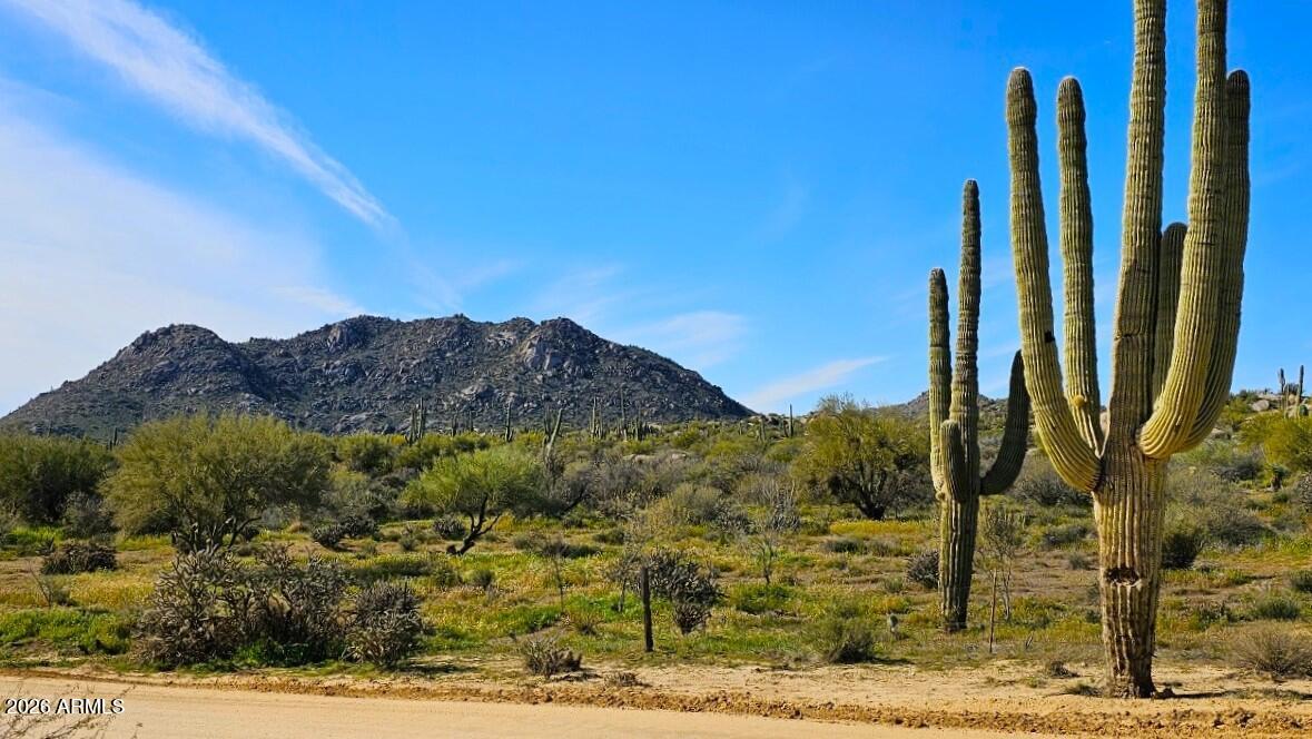 13643 East Arroyo Hondo Road Scottsdale, AZ 85262 - Photo 5 of 74 Towerng Saguaro's in Scottsdale Preserve