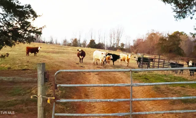 $2,700,000 | 136 Triple H Lane, Jonesborough, TN 37659