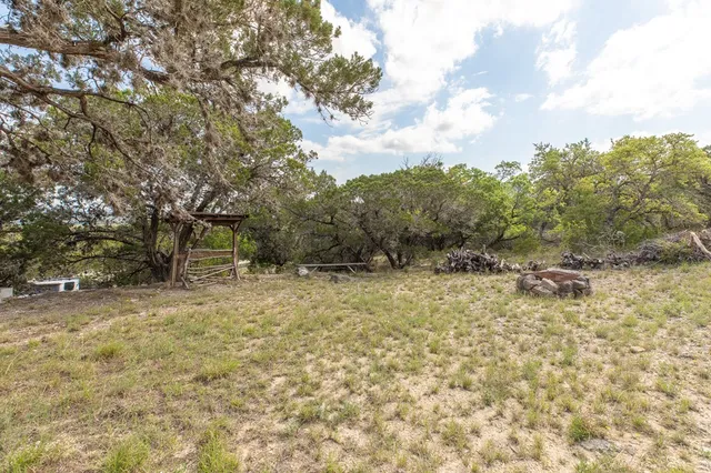 a view of a yard with plants and trees