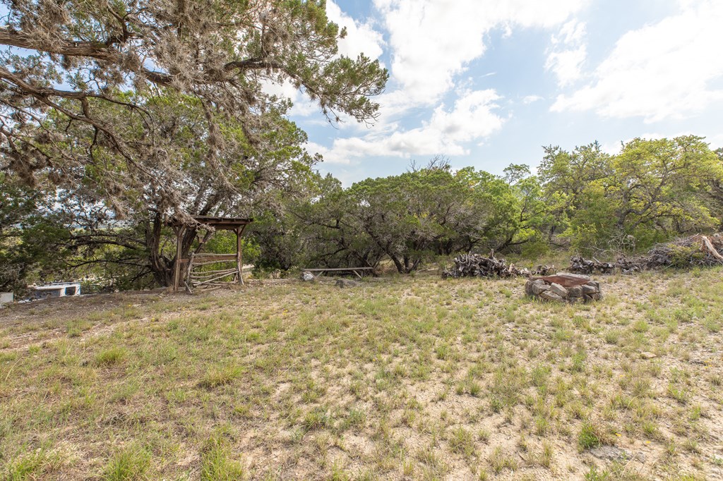 447-495 Blessing Lane Utopia, TX 78884 - Photo 20 of 24 a view of a yard with plants and trees