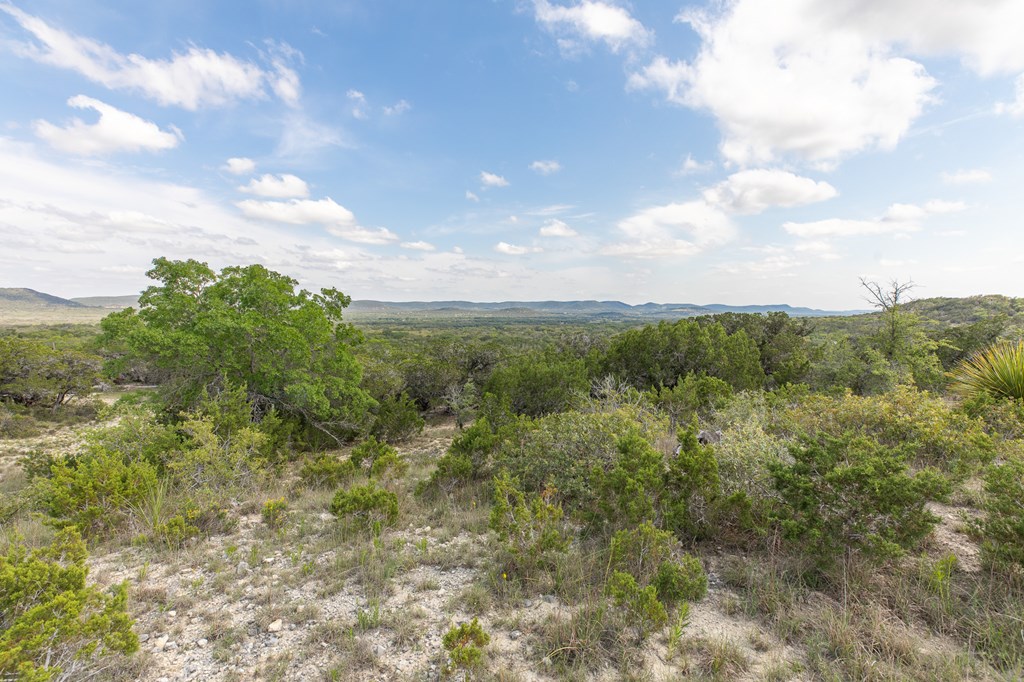 447-495 Blessing Lane Utopia, TX 78884 - Photo 21 of 24 a view of a big yard with lots of bushes