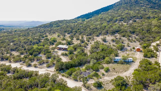 a view of a forest with a forest