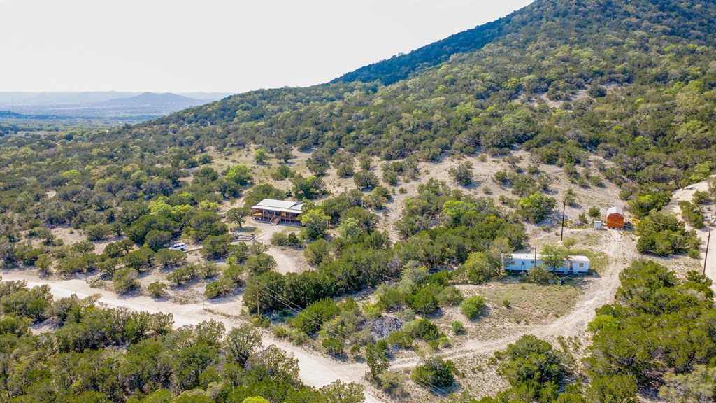 447-495 Blessing Lane Utopia, TX 78884 - Photo 23 of 24 a view of a forest with a forest