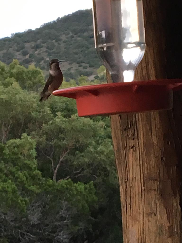447-495 Blessing Lane Utopia, TX 78884 - Photo 27 of 29