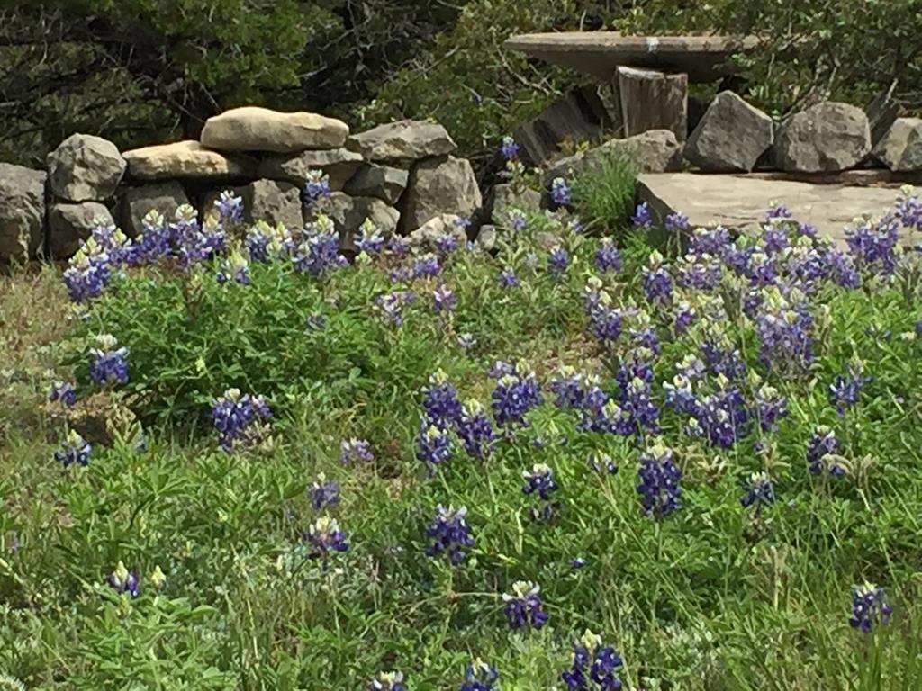 447-495 Blessing Lane Utopia, TX 78884 - Photo 28 of 29