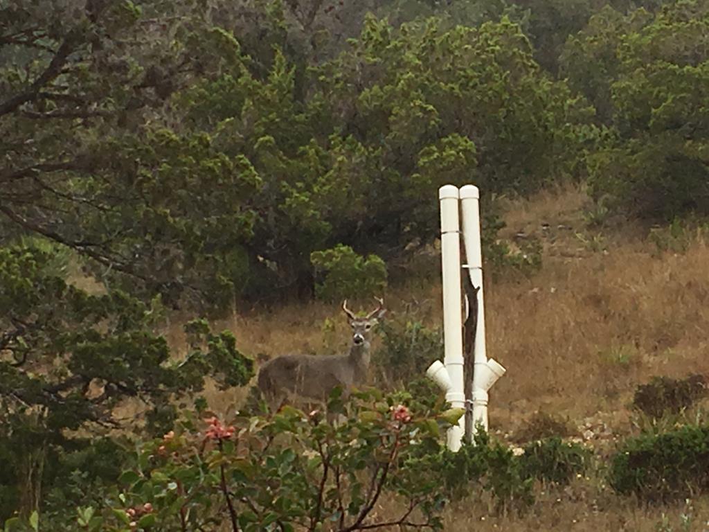 447-495 Blessing Lane Utopia, TX 78884 - Photo 29 of 29