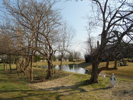 21143 Deerpath Road Frankfort, IL 60423 - Photo 3 of 16 a view of yard with trees