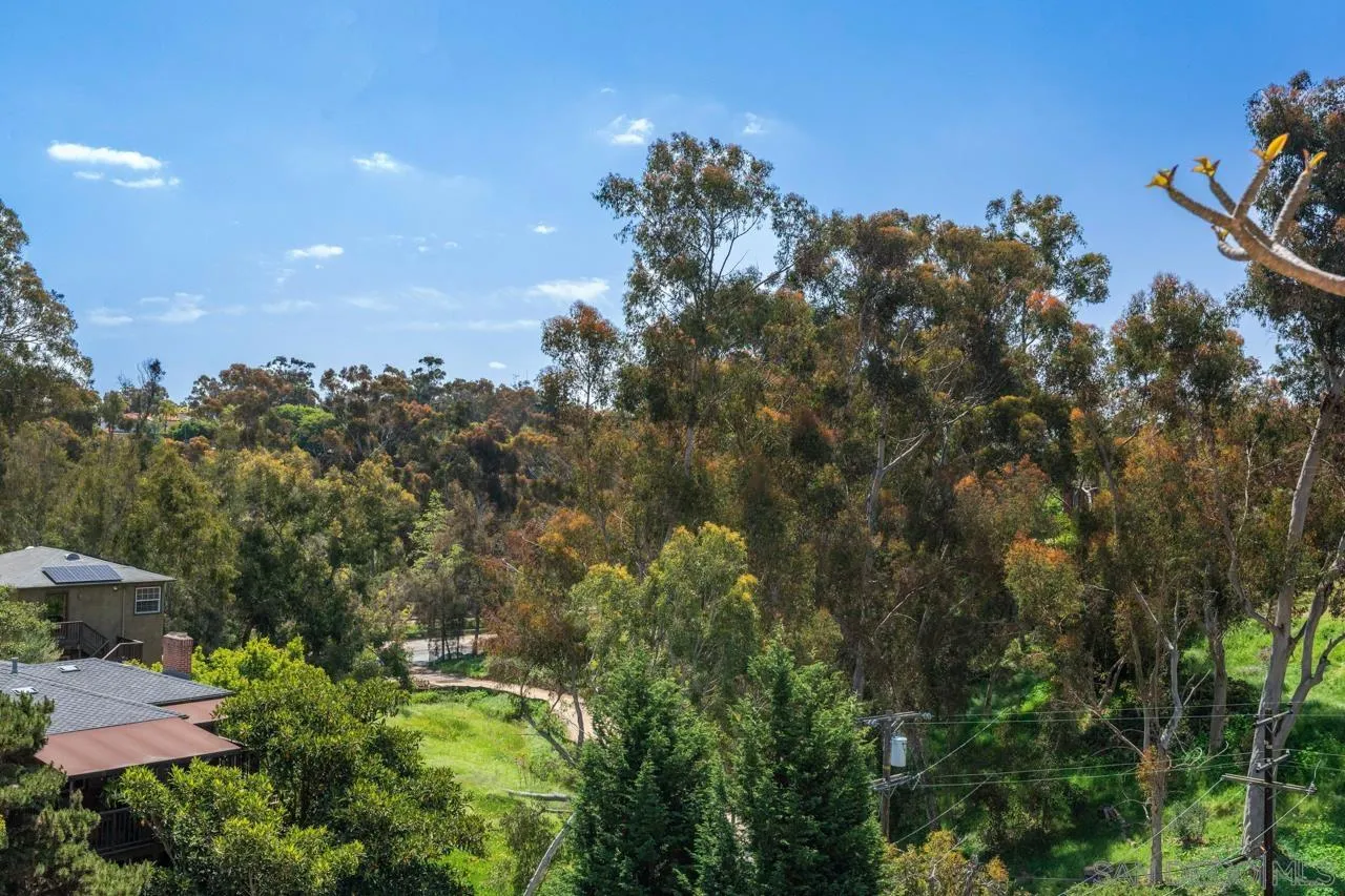 3635 7th Avenue, Unit 2D San Diego, CA 92103 - Photo 68 of 68 a backyard of a house with lots of green space