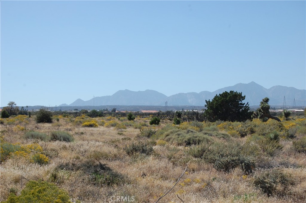 1 Arrowhead Road Phelan, CA 92371 - Photo 5 of 6 a view of a dry field with trees in the background