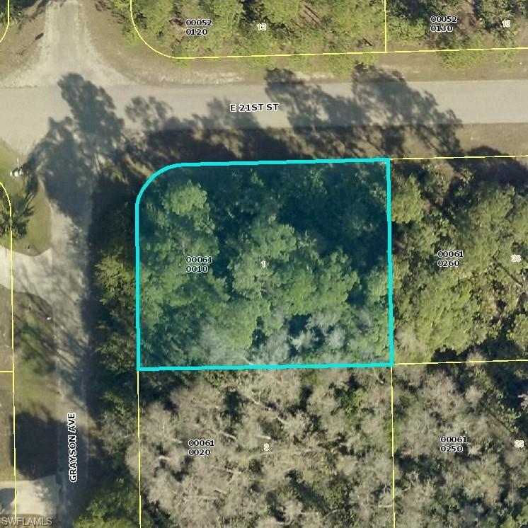 2024 Grayson Avenue Alva, FL 33920 - Photo 1 of 1 a view of a yard