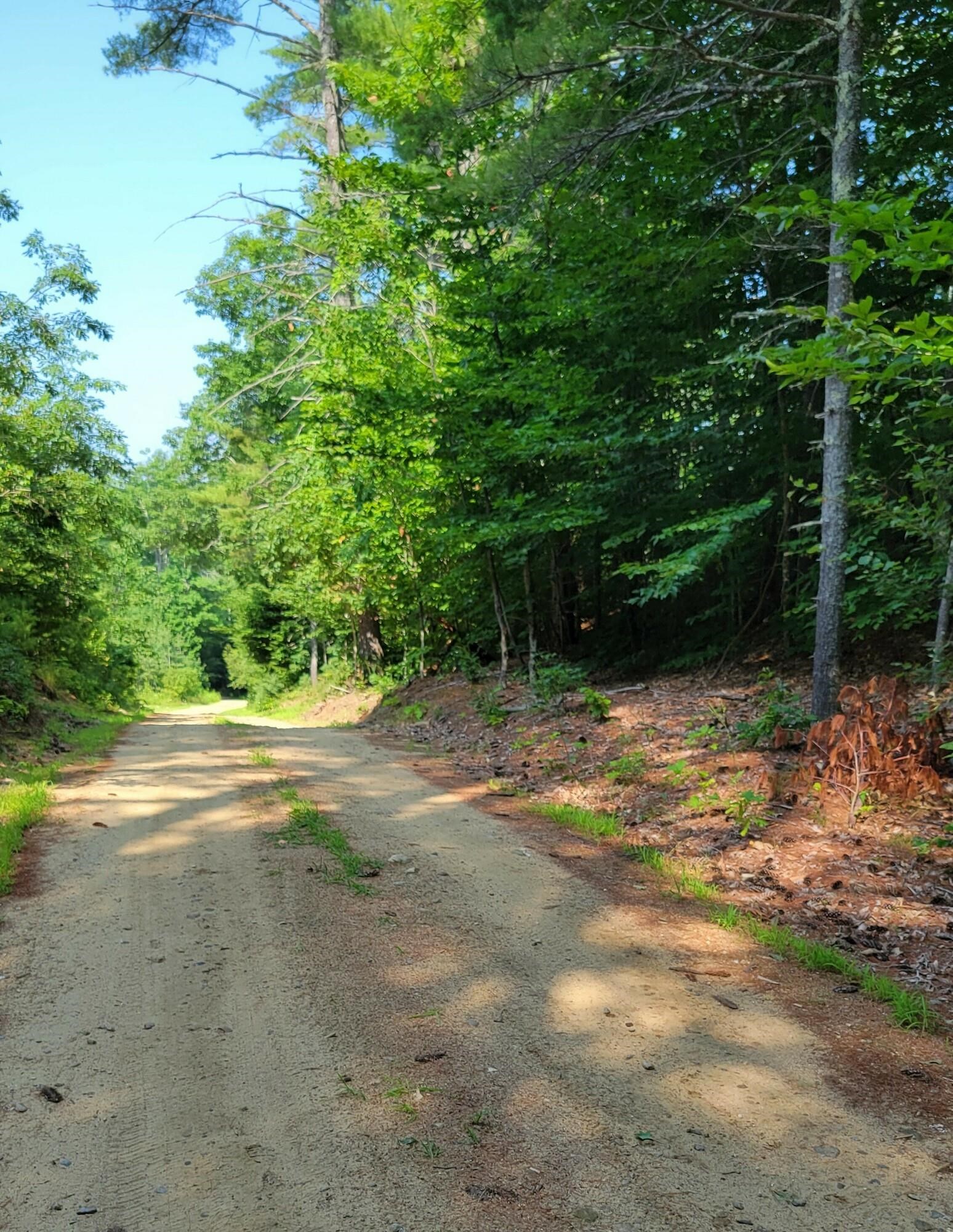 0 Hannah Nutter Road, Unit 65 Center Barnstead, NH 03225 - Photo 7 of 7