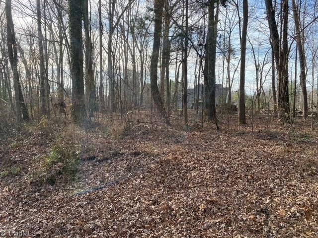 0 Archdale Road Pfafftown, NC 27040 - Photo 1 of 5 Gallery Image 1