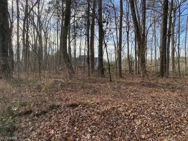 0 Archdale Road Pfafftown, NC 27040 - Photo 3 of 5 Gallery Image 3
