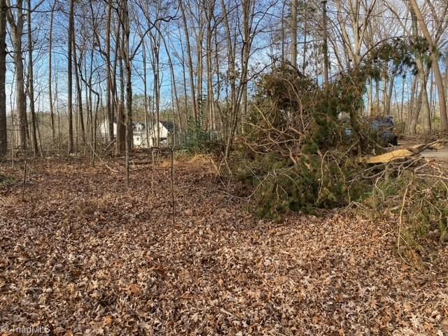 0 Archdale Road Pfafftown, NC 27040 - Photo 4 of 5 Gallery Image 4
