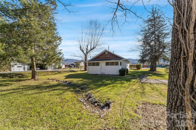 a view of yard with tree