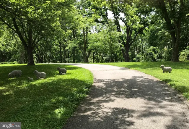 a living room with furniture a chandelier and a rug