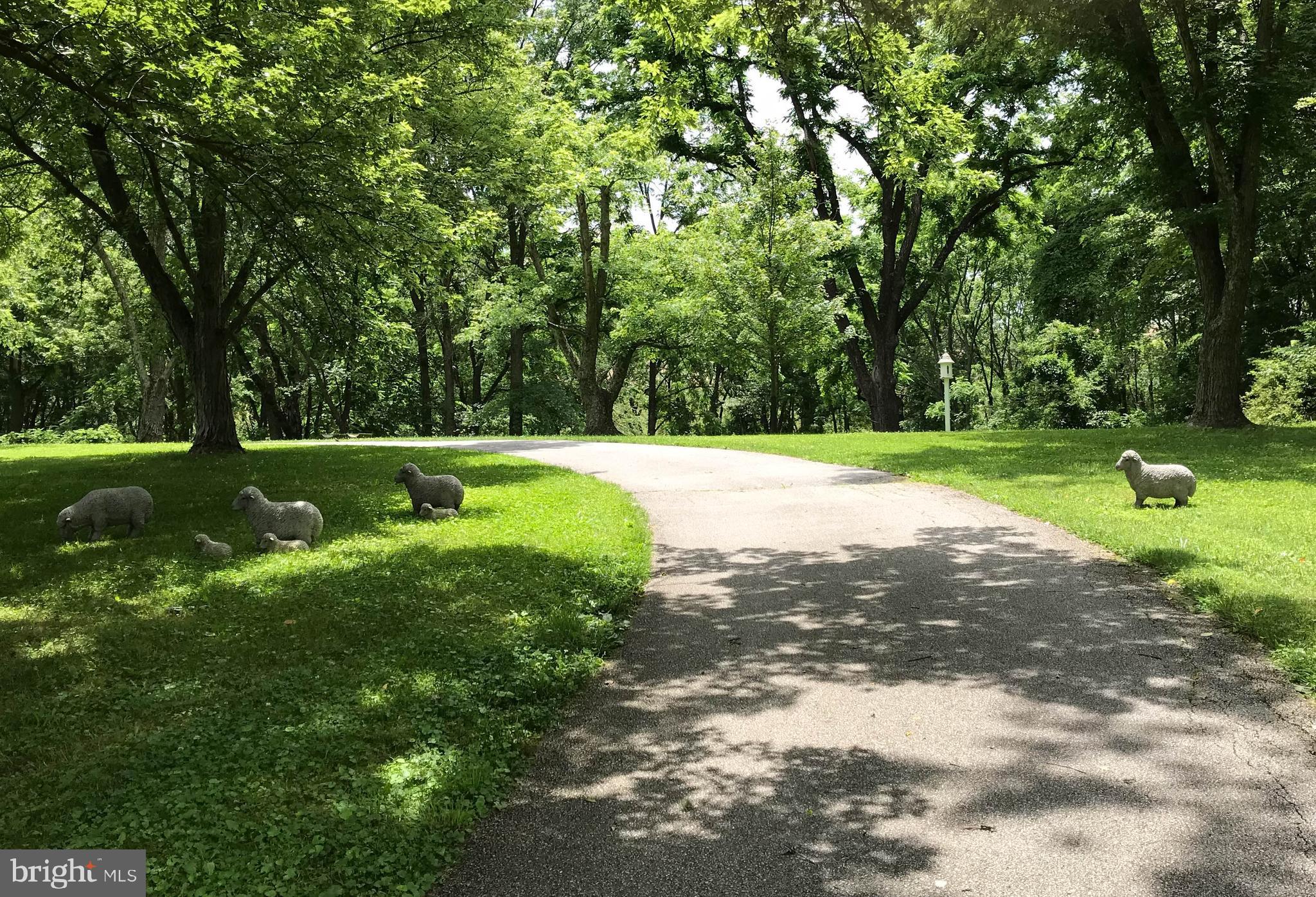3223 Mt Zion Road Upperco, MD 21155 - Photo 15 of 65 a view of a park with large trees