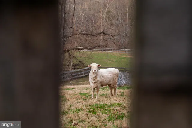 a swimming pool with outdoor seating and yard