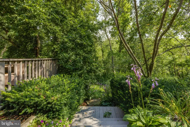 a view of a patio with couches and potted plants