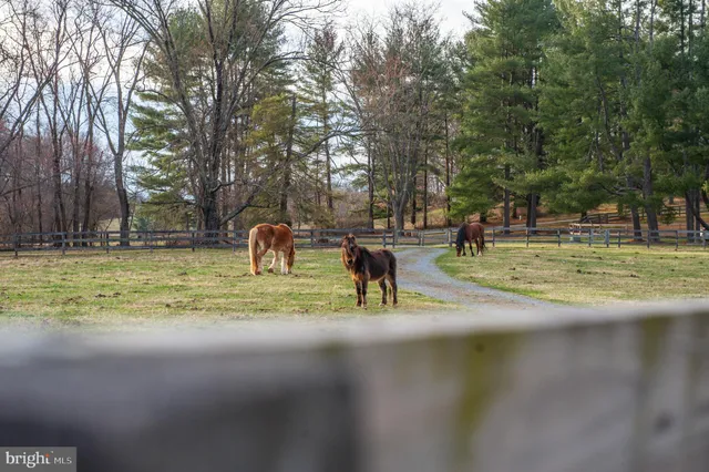 a reading room with furniture and a bookshelf