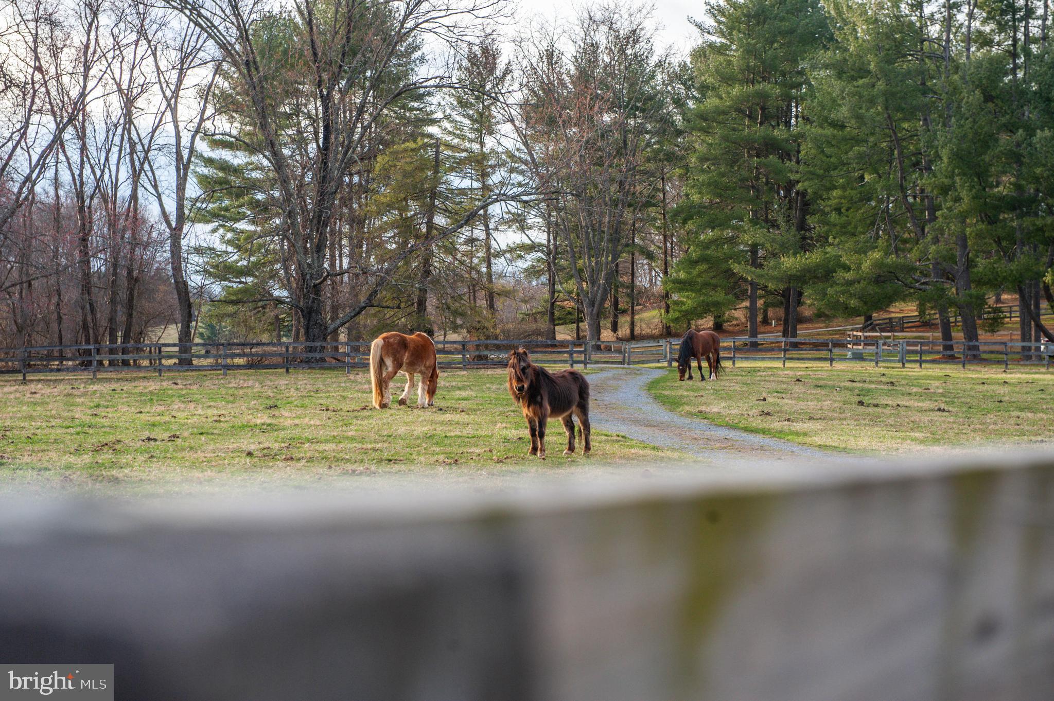 3223 Mt Zion Road Upperco, MD 21155 - Photo 28 of 65 a swimming pool with outdoor seating and yard