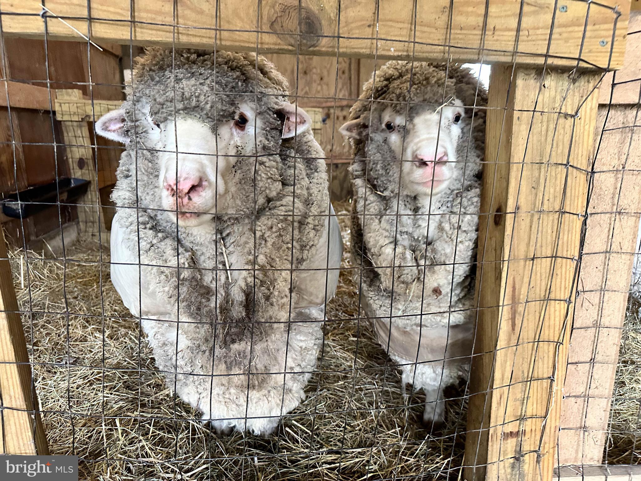 3223 Mt Zion Road Upperco, MD 21155 - Photo 29 of 65