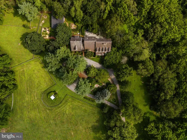 a view of a backyard with large trees