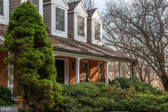 a park with large trees
