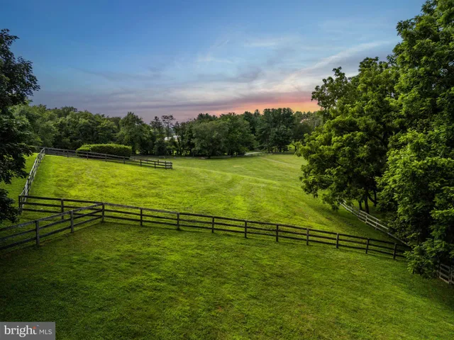 a view of a green yard with wooden fence