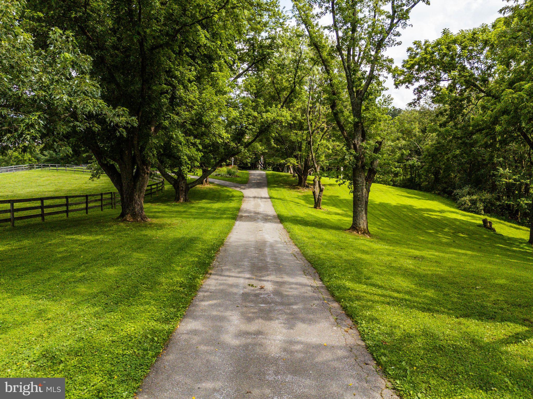 3223 Mt Zion Road Upperco, MD 21155 - Photo 63 of 65 a park with large trees