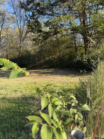 a view of a pathway both side of yard