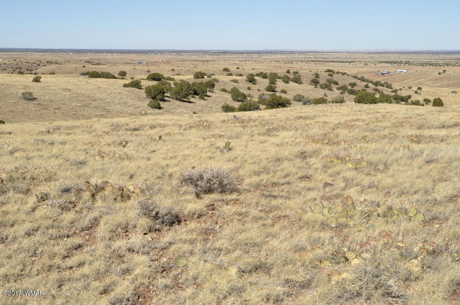 893 A Ranch Concho, AZ 85924 - Photo 46 of 53