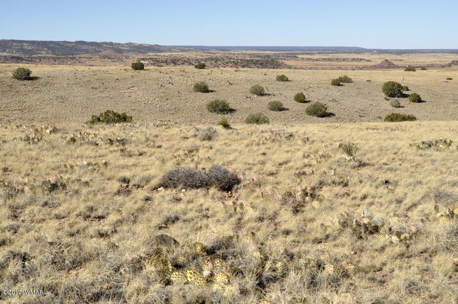 893 A Ranch Concho, AZ 85924 - Photo 47 of 53