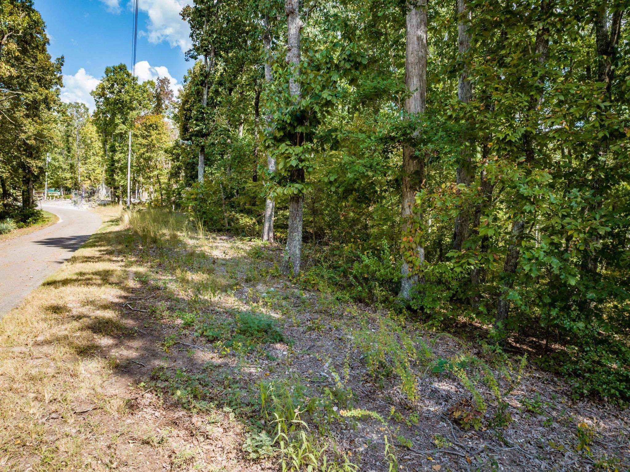 Lot 14-16 Ridgeway Drive Sugar Tree, TN 38380 - Photo 6 of 19 Exterior space