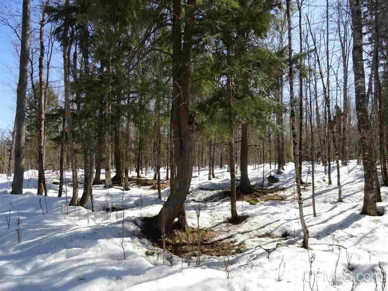 240-acres Leek Road Covington, MI 49919 - Photo 26 of 50