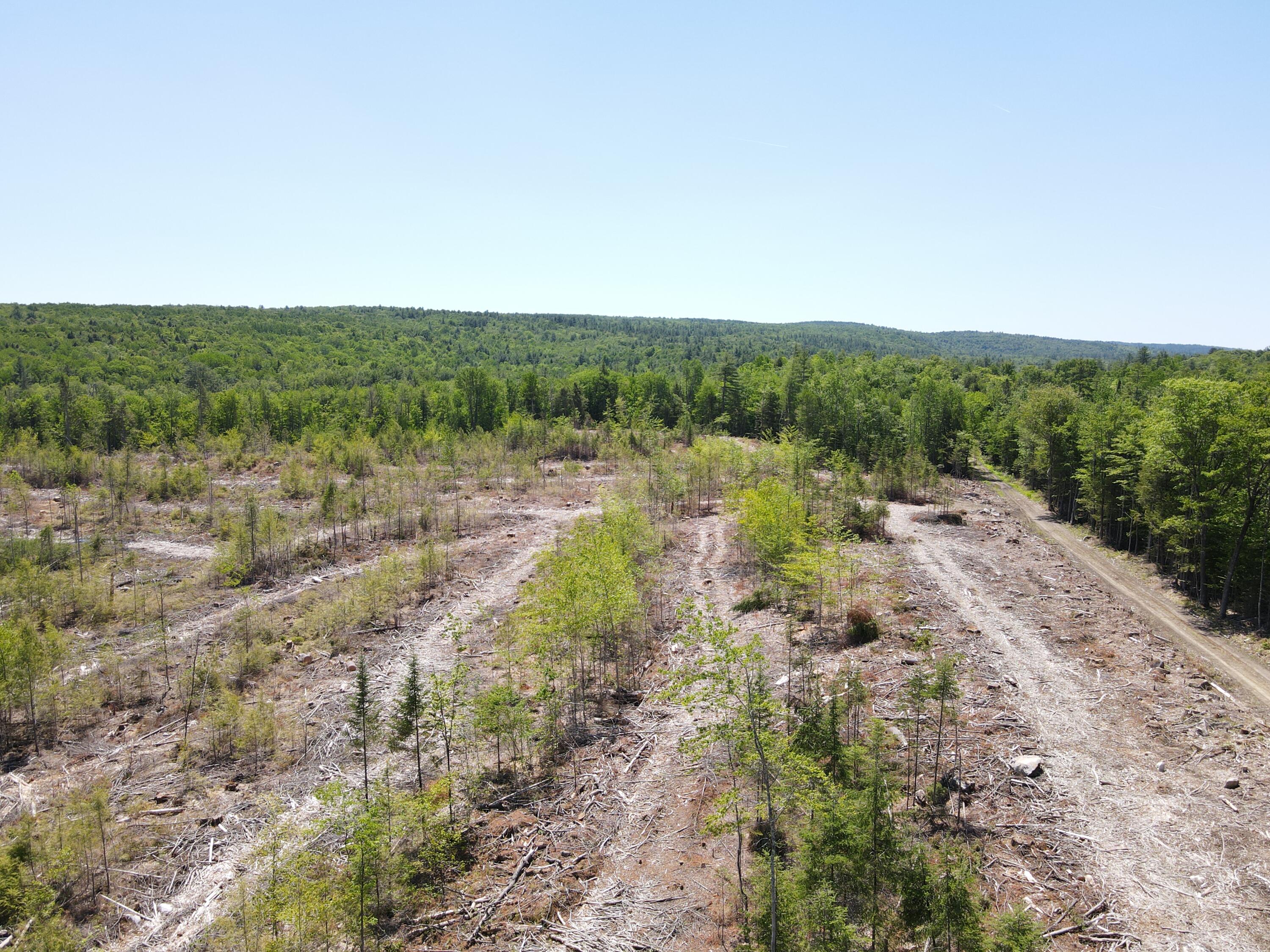 M10-l25 M10-l25 Cahoon Road Chesterville, ME 04938 - Photo 16 of 80 DJI_0744
