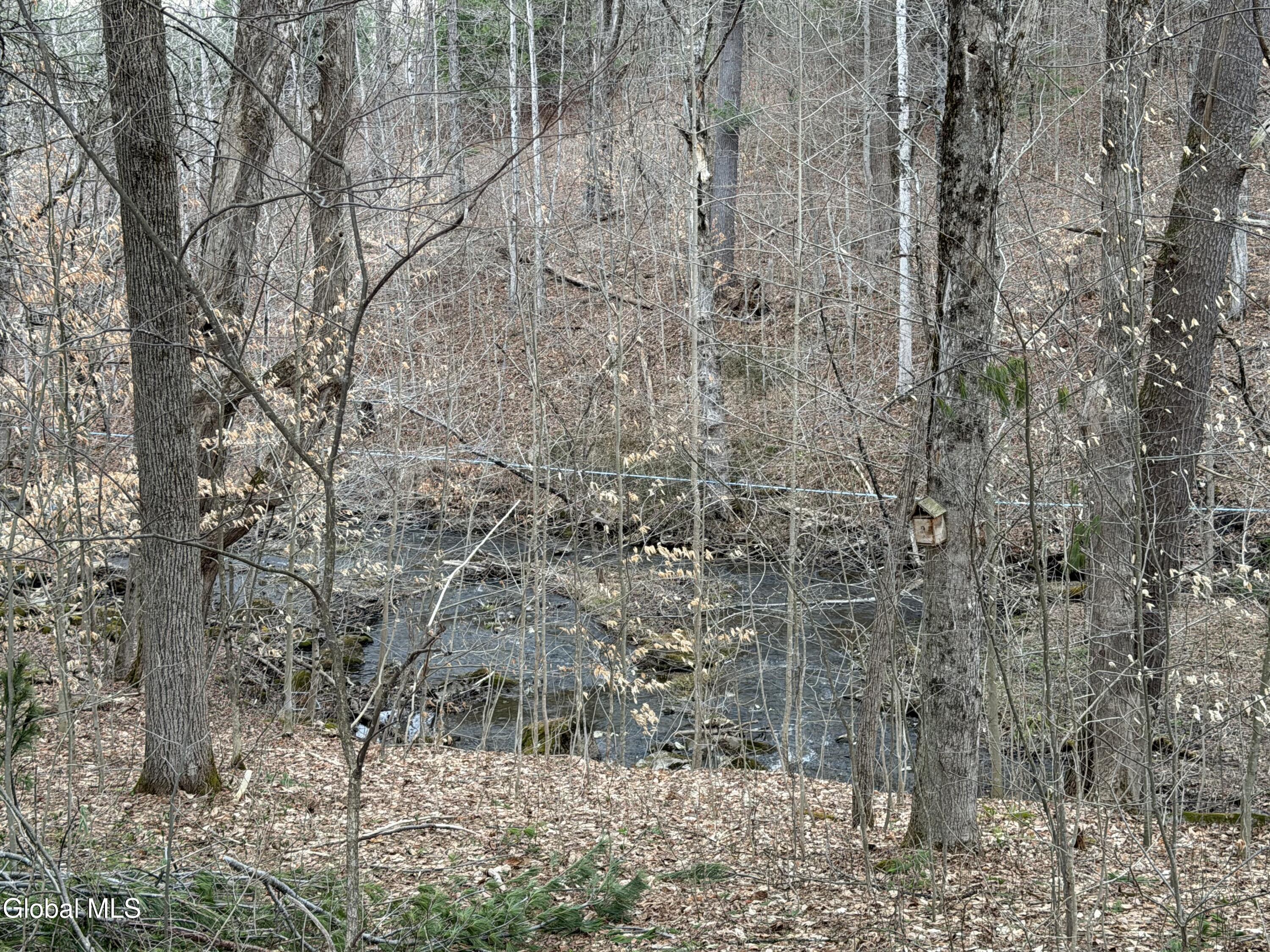 730 New Turnpike Road Ephratah, NY 13339 - Photo 31 of 33 IMG_0957