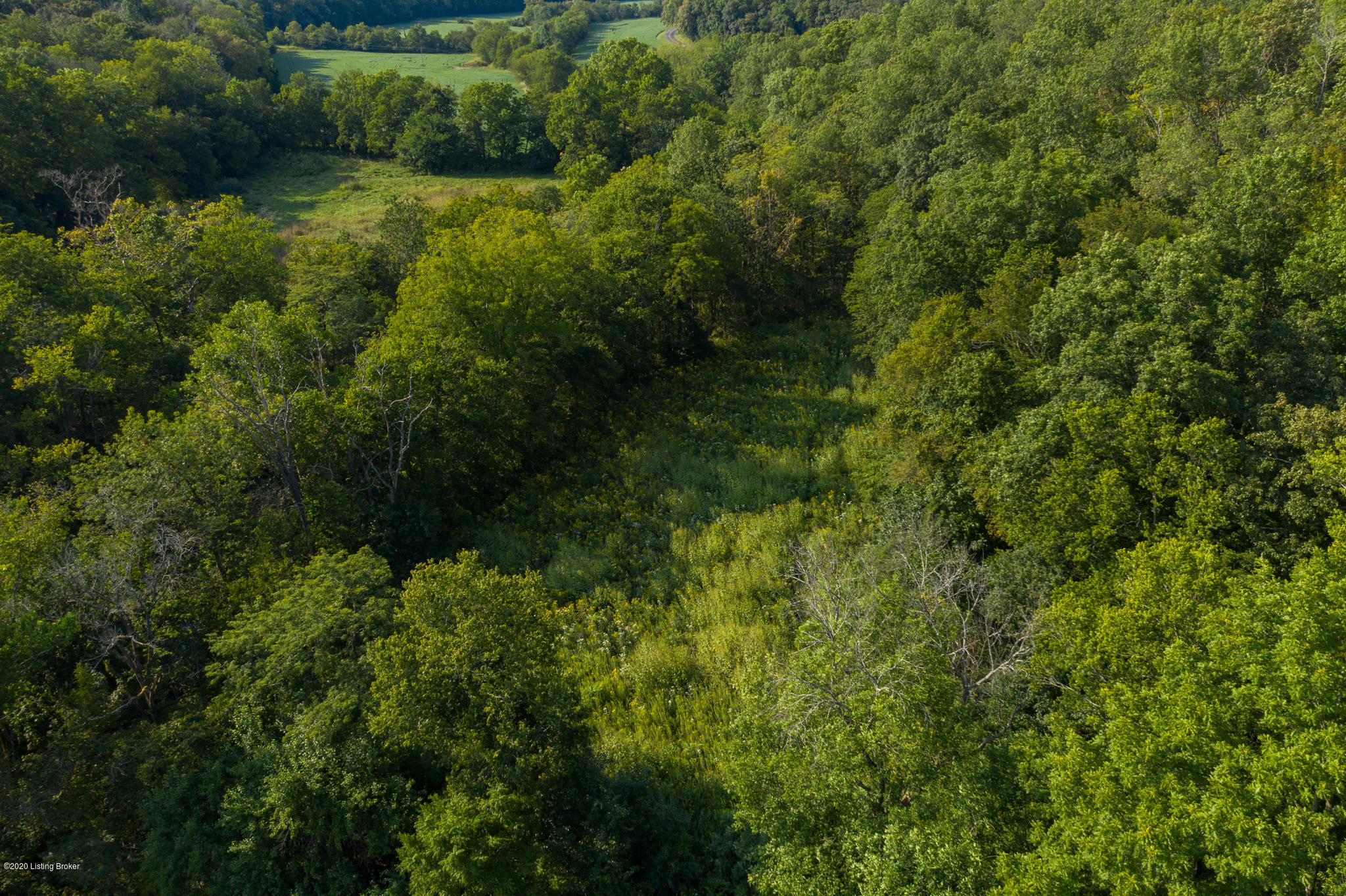 100 Deer Run Road Coxs Creek, KY 40013 - Photo 6 of 32 451 Deer Run Rd Coxs Creek KY 40013 (5 o