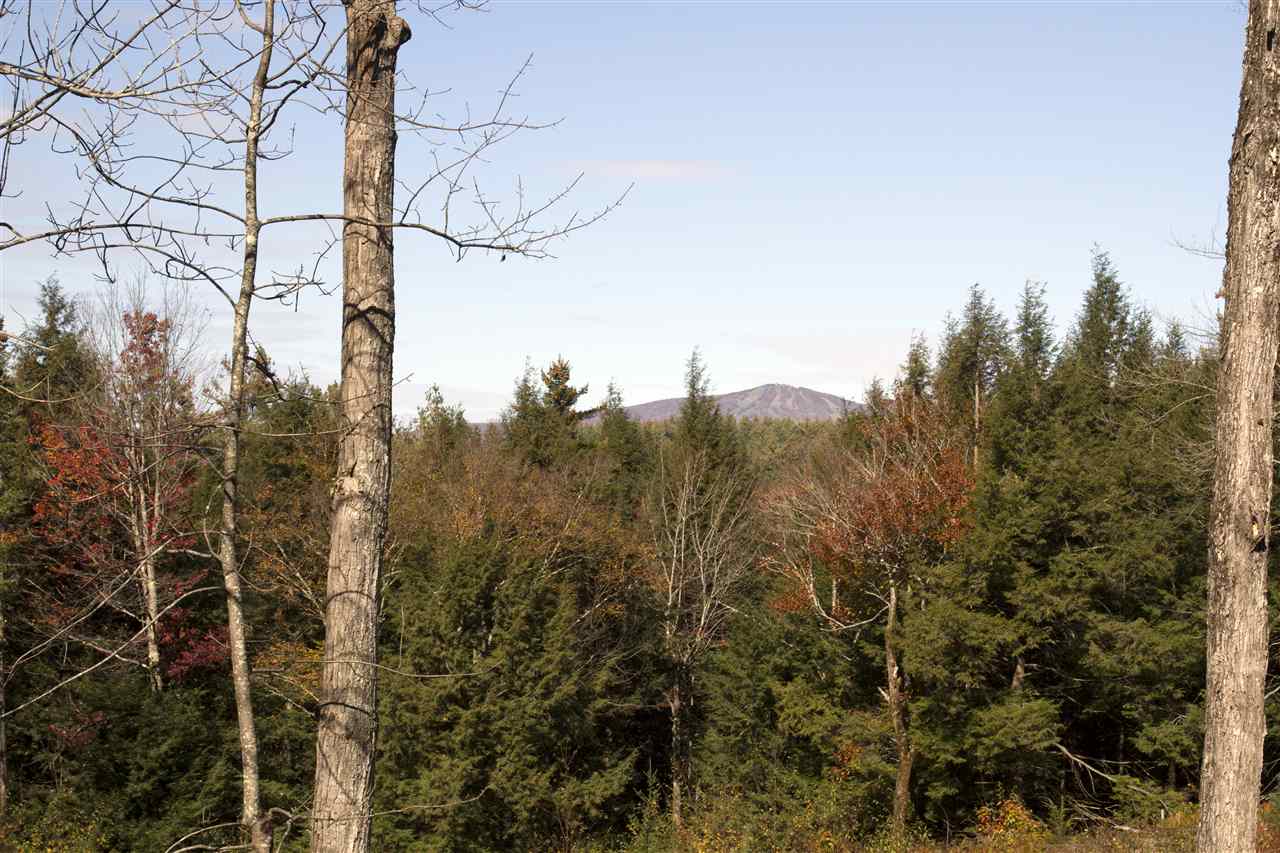 Lot 10 Garden Loop Road, Unit 10A 10B 11 Winhall, VT 05340 - Photo 1 of 4