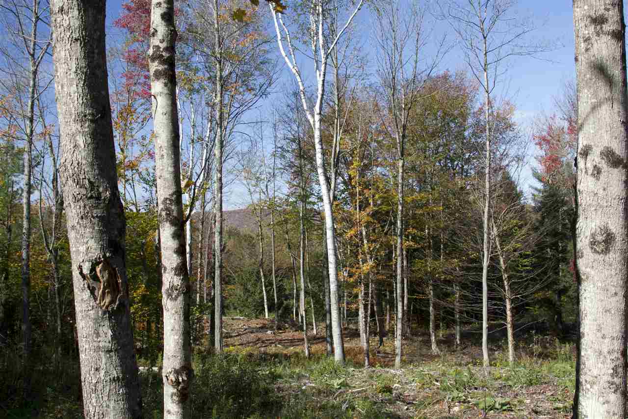 Lot 10 Garden Loop Road, Unit 10A 10B 11 Winhall, VT 05340 - Photo 2 of 4