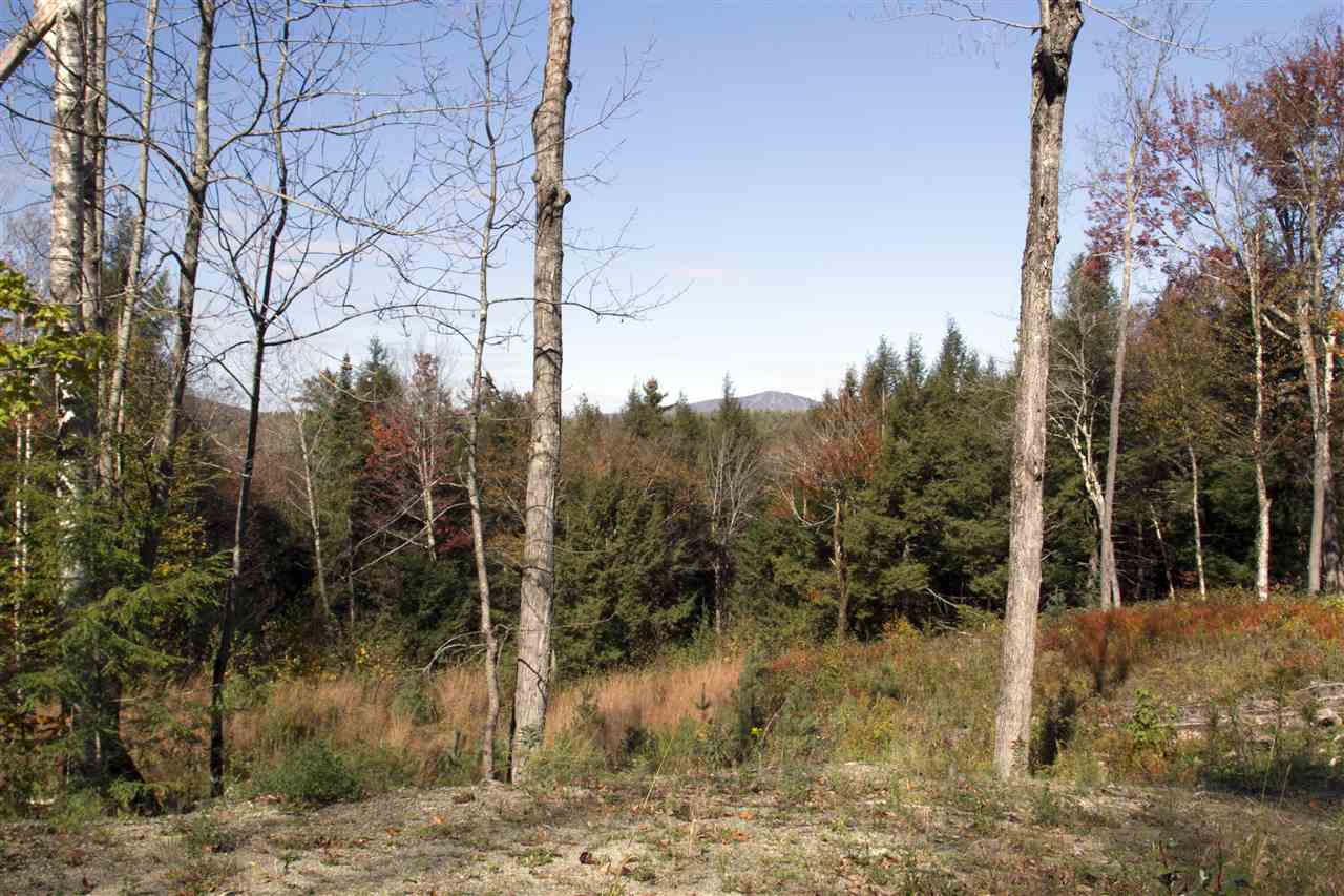 Lot 10 Garden Loop Road, Unit 10A 10B 11 Winhall, VT 05340 - Photo 3 of 4