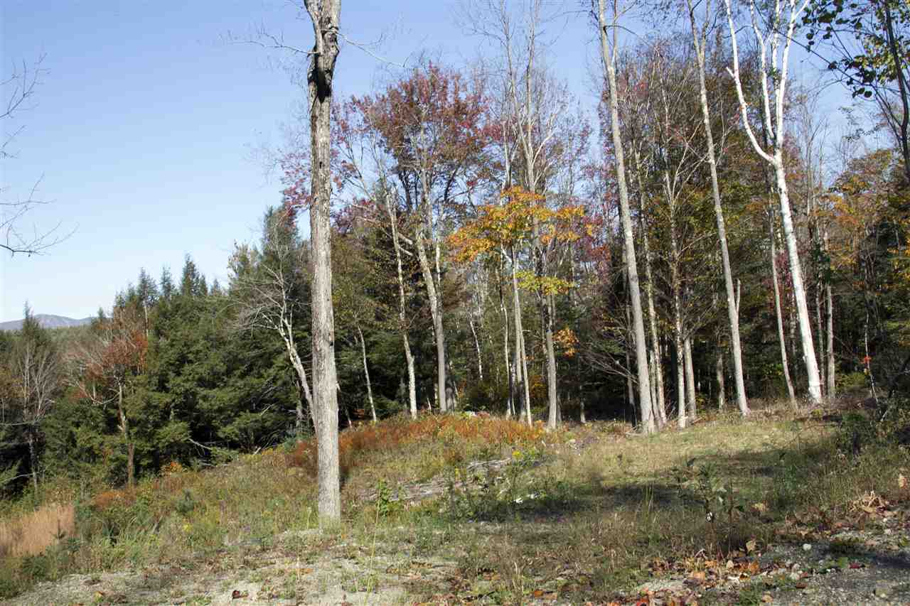 Lot 10 Garden Loop Road, Unit 10A 10B 11 Winhall, VT 05340 - Photo 4 of 4