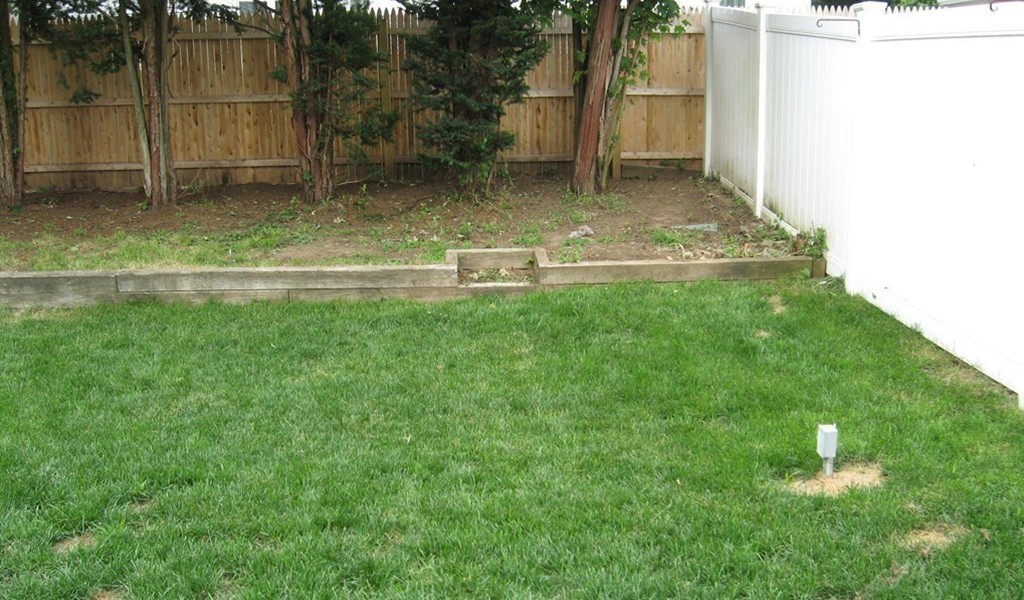 59 Mayflower Road Springfield, MA 01118 - Photo 26 of 27 a view of yard