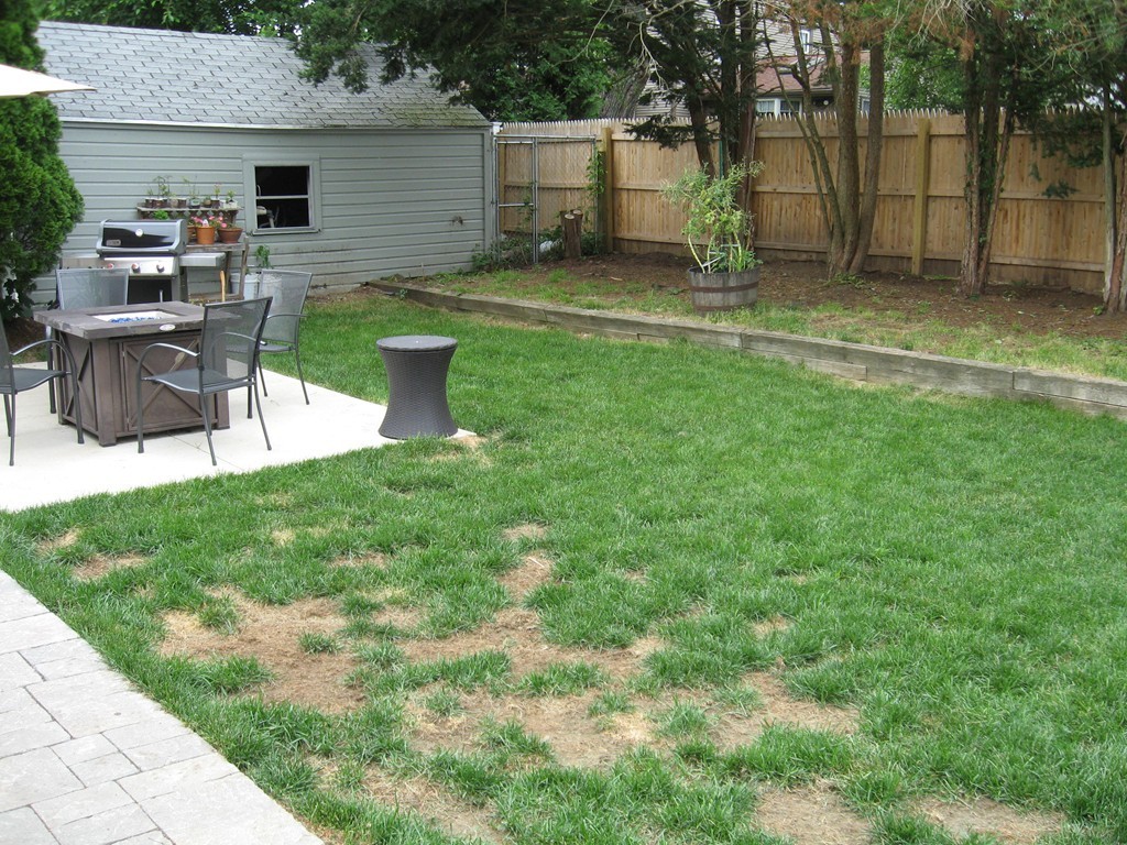 59 Mayflower Road Springfield, MA 01118 - Photo 27 of 27 a view of a backyard with sitting area