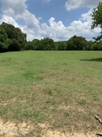 $795,000 | 1000 Hawkins Road, Courtland, MS 38620