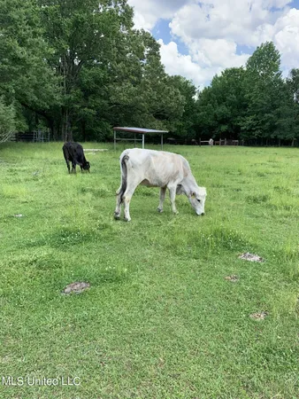 $795,000 | 1000 Hawkins Road, Courtland, MS 38620