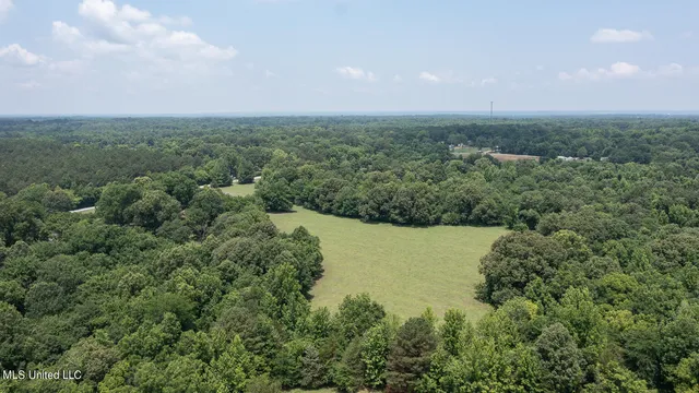 $795,000 | 1000 Hawkins Road, Courtland, MS 38620