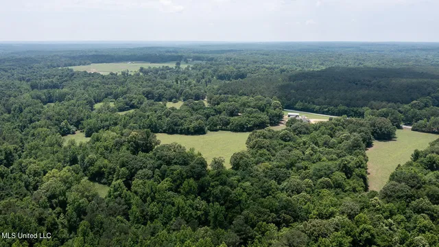 $795,000 | 1000 Hawkins Road, Courtland, MS 38620