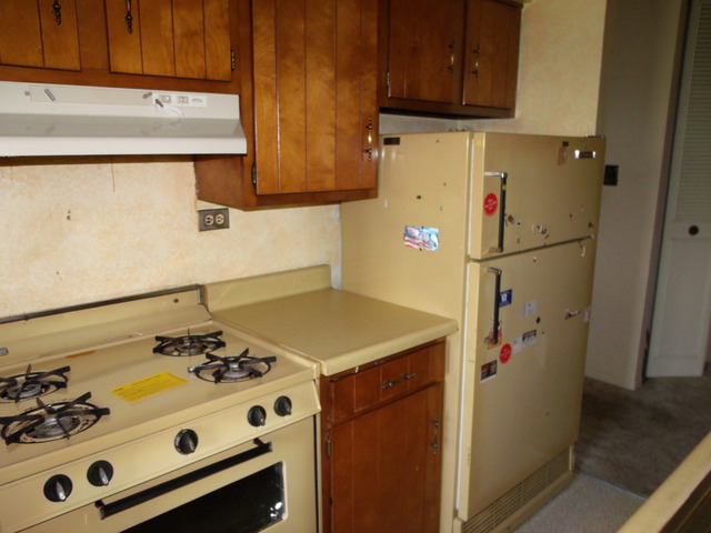 300 South Roselle Road, Unit 402 Schaumburg, IL 60193 - Photo 4 of 11