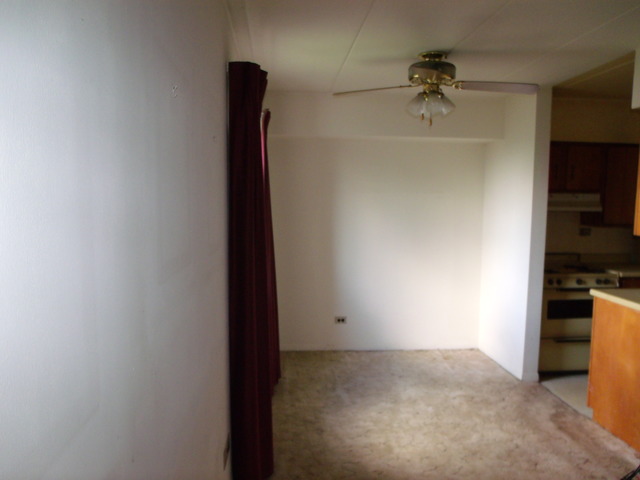 300 South Roselle Road, Unit 402 Schaumburg, IL 60193 - Photo 7 of 11